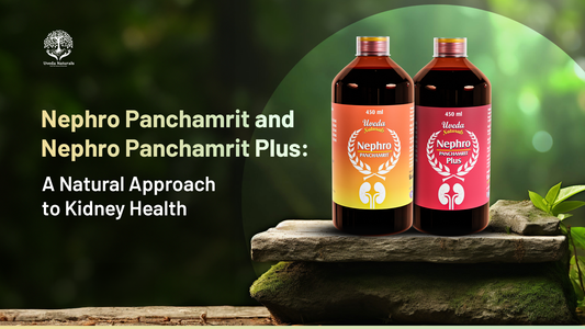 Nephro Panchamrit and Nephro Panchamrit Plus: A Natural Approach to Kidney Health