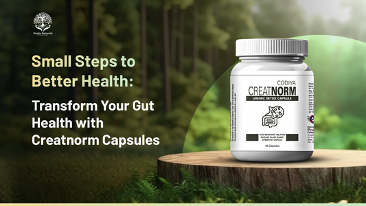 Small Steps to Better Health: Transform Your Gut Health with Creatnorm Capsules