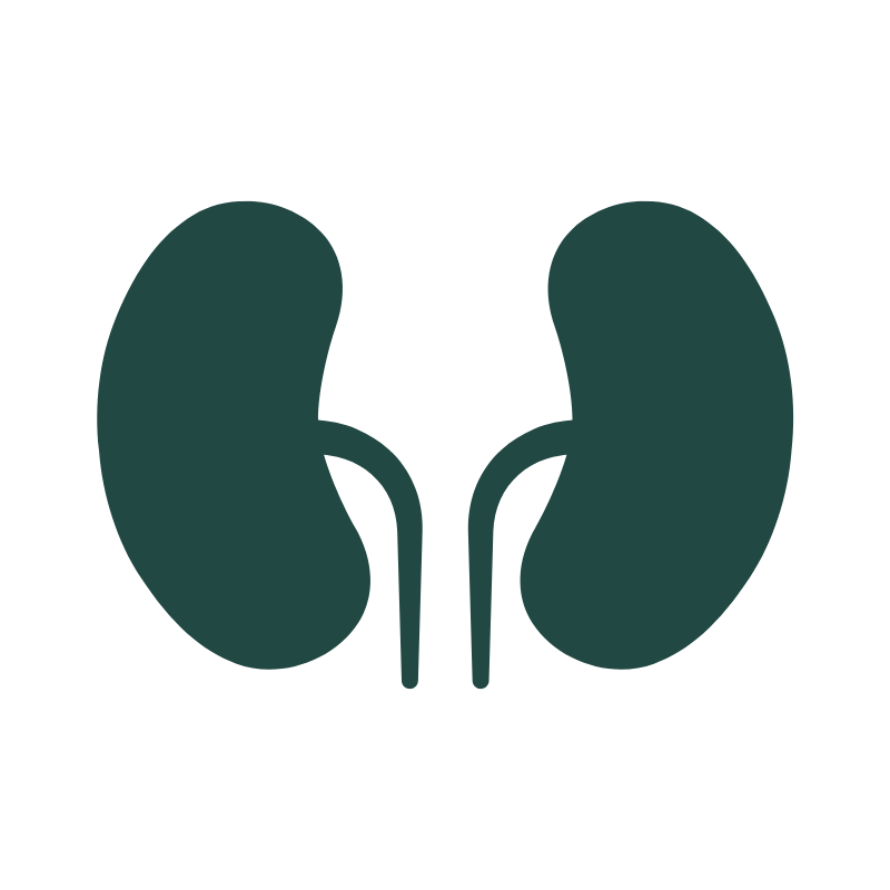 Kidney Wellness