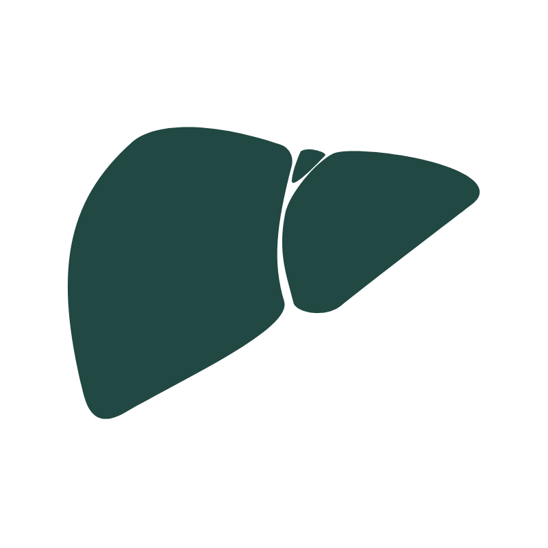 Liver Welness