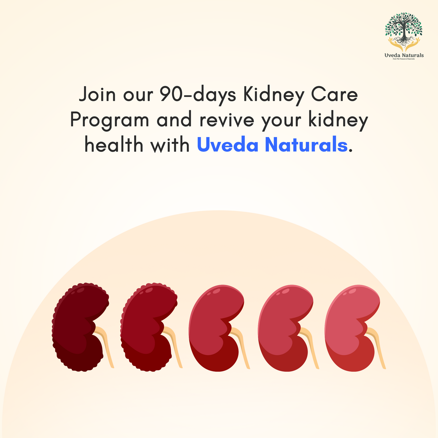 SAVE YOUR KIDNEY – The Ultimate 90-Day Kidney Care Program