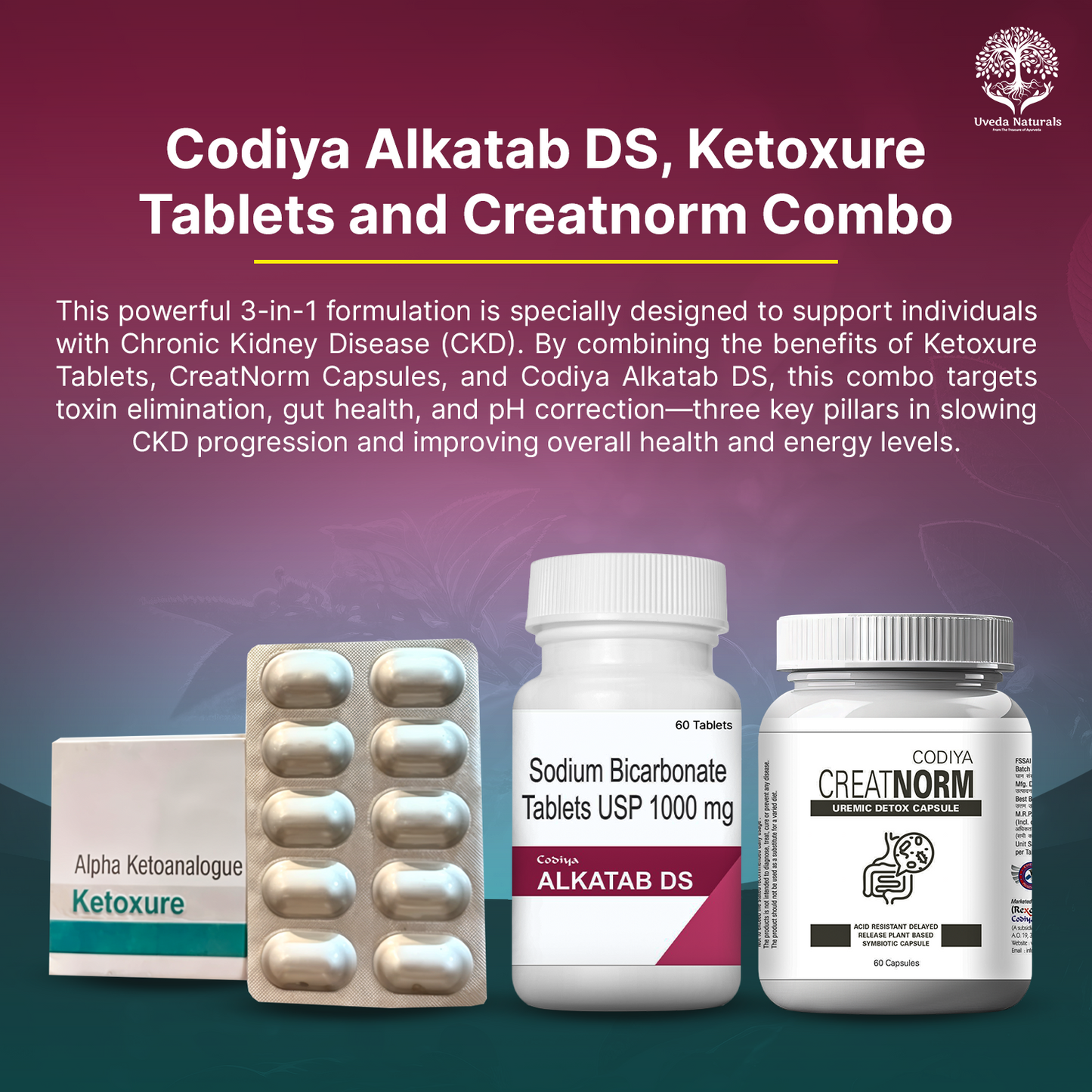 Codiya Alkatab DS, Ketoxure Tablets and Creatnorm Combo