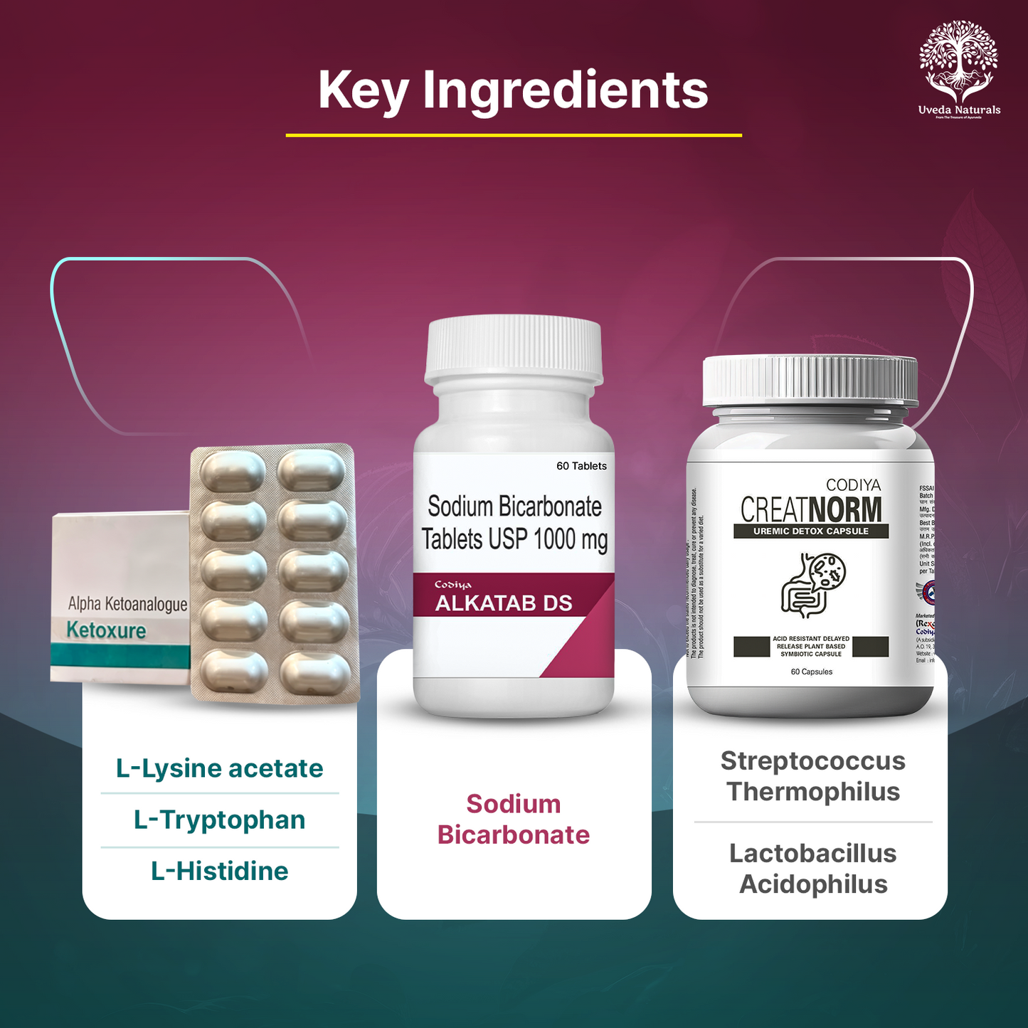 Codiya Alkatab DS, Ketoxure Tablets and Creatnorm Combo