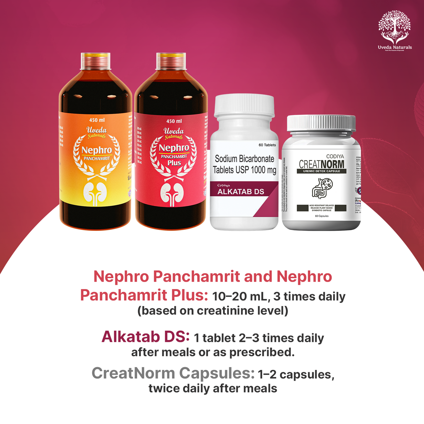 Codiya Alkatab DS, Creatnorm Nephro Panchamrit and Nephro Panchamrit Plus Combo