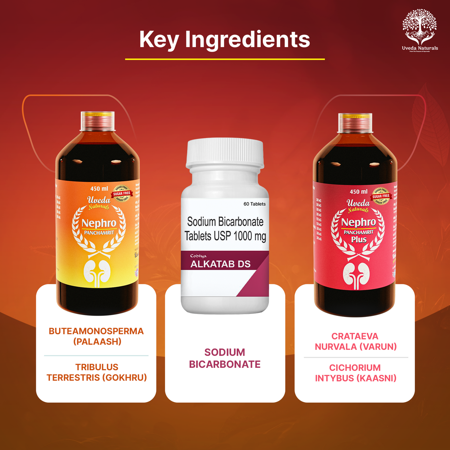 Codiya Alkatab DS and Nephro Panchamrit and Nephro Panchamrit Plus Sugar Free Combo