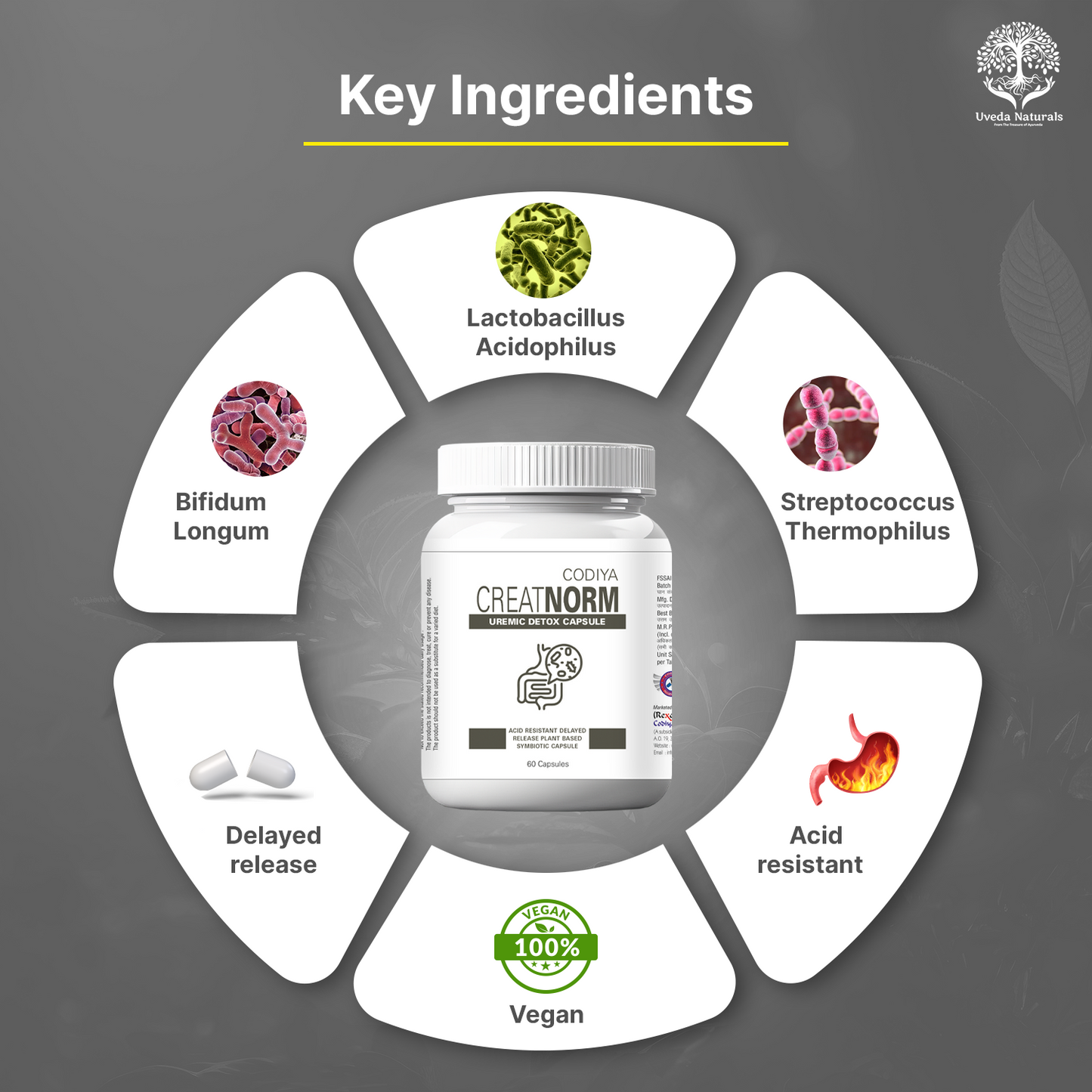 Creatnorm Capsules - 90 Billion Spores Probiotic & Prebiotic Formula