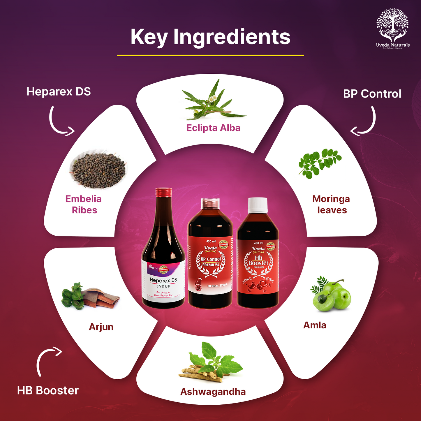 Heparex DS, BP Control Premium, and HB Booster Premium Sugar Free Combo