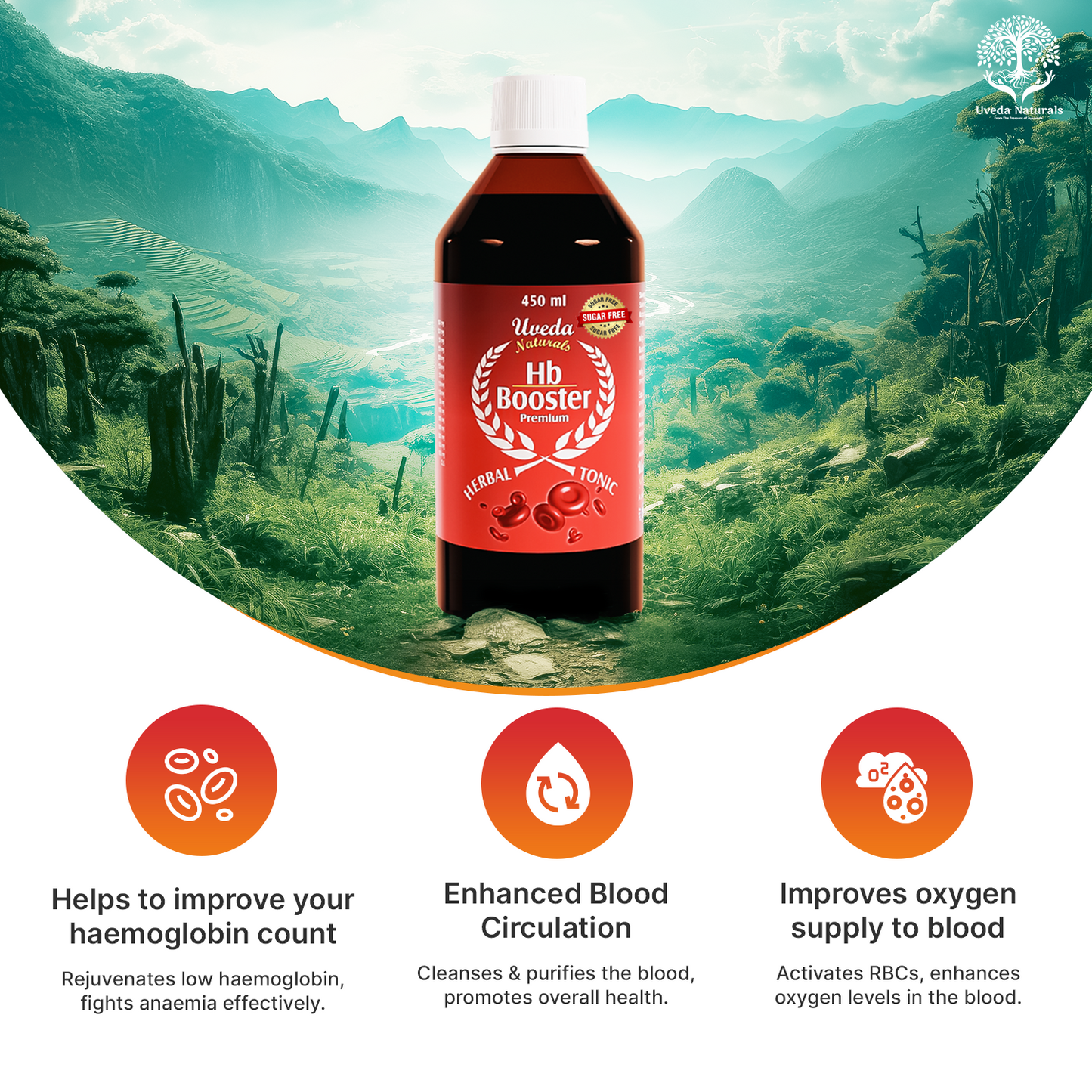 Hb Booster Premium Sugar-Free
