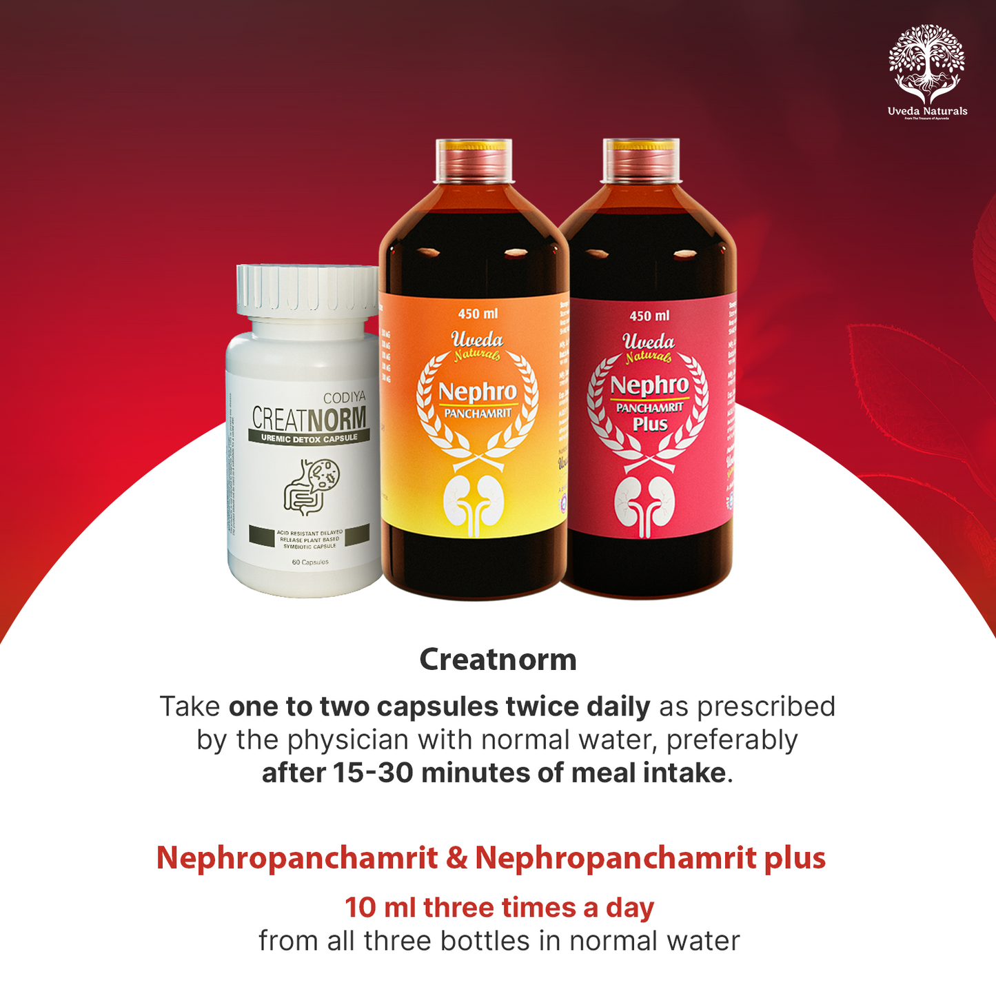 Nephropanchamrit Nephropanchamrit plus & Creatnorm Combo