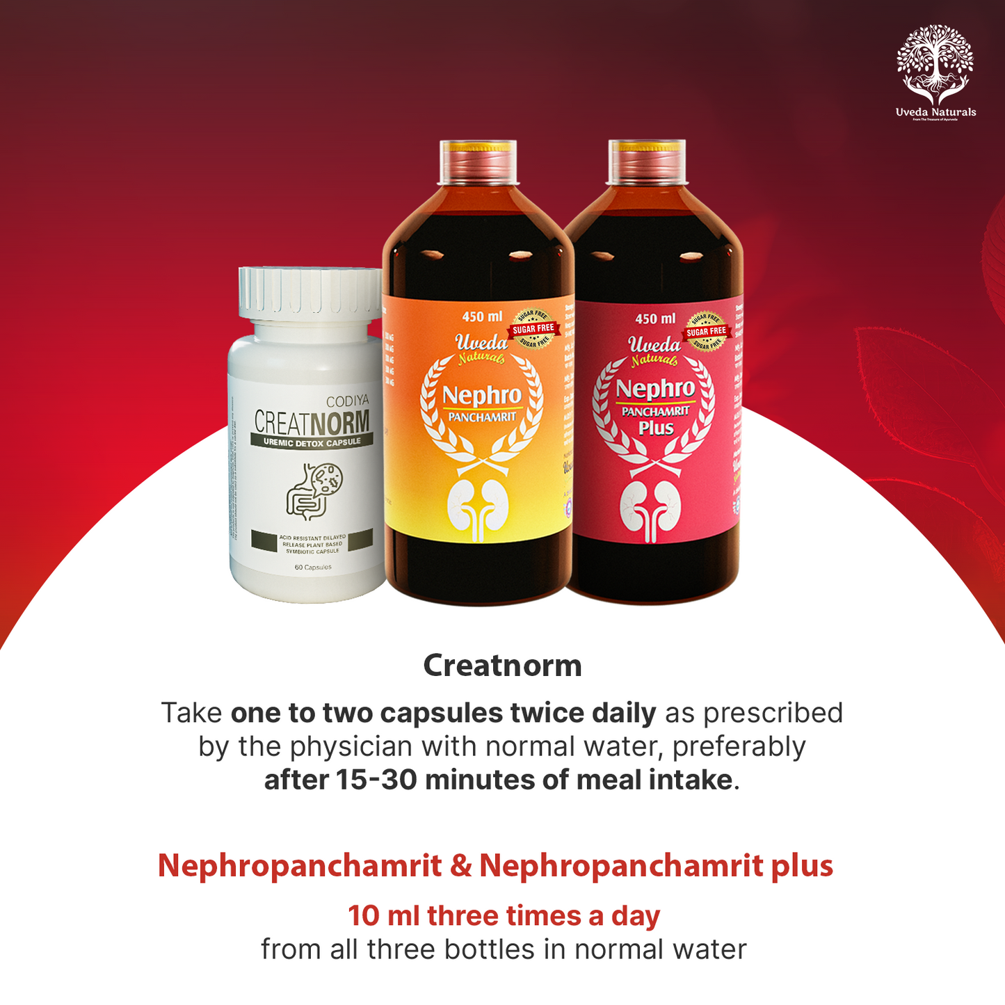 Nephropanchamrit Nephropanchamrit plus sugar-Free & Creatnorm Combo