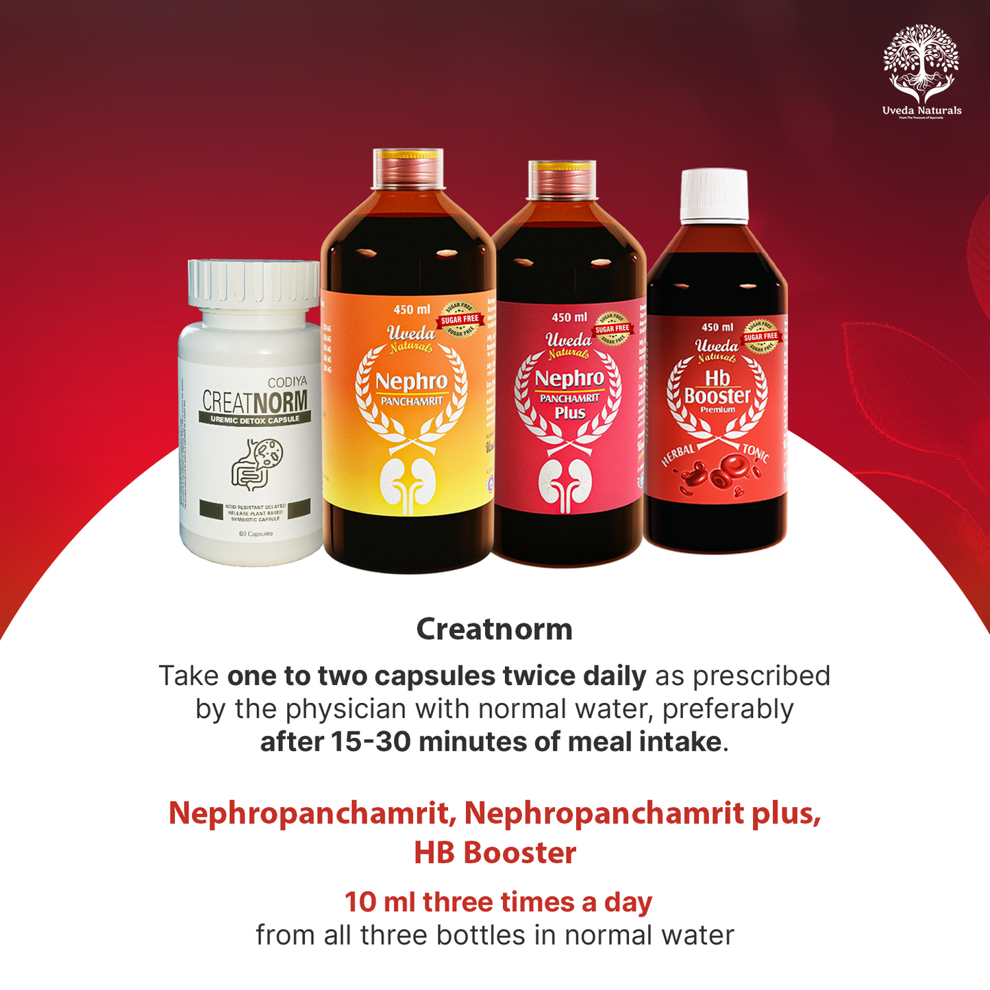 NephroPanchamirt, NephroPanchamirt Plus, Hb Booster (all sugar-free) & CreatNorm Combo
