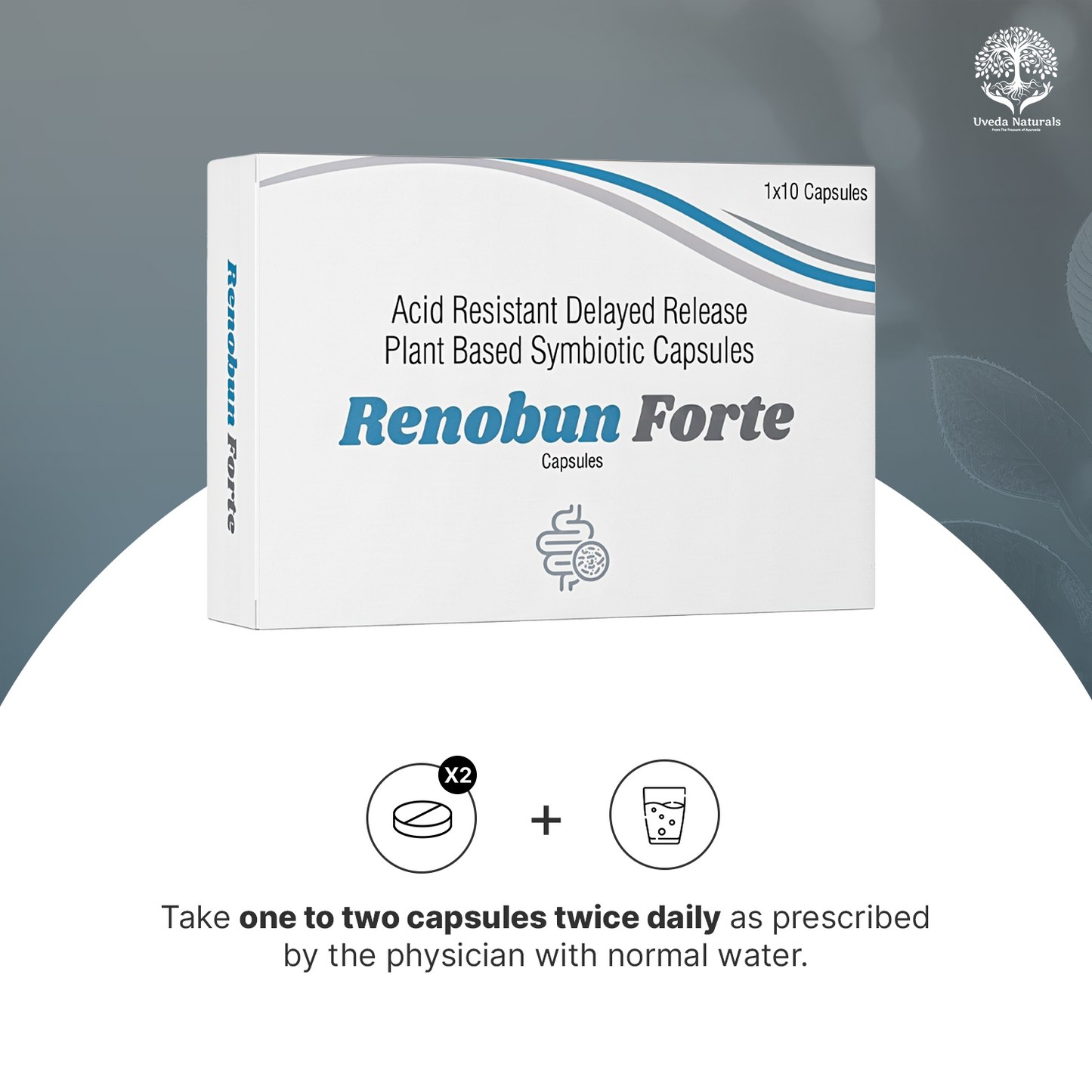 Renobun Forte Symbiotic Capsules