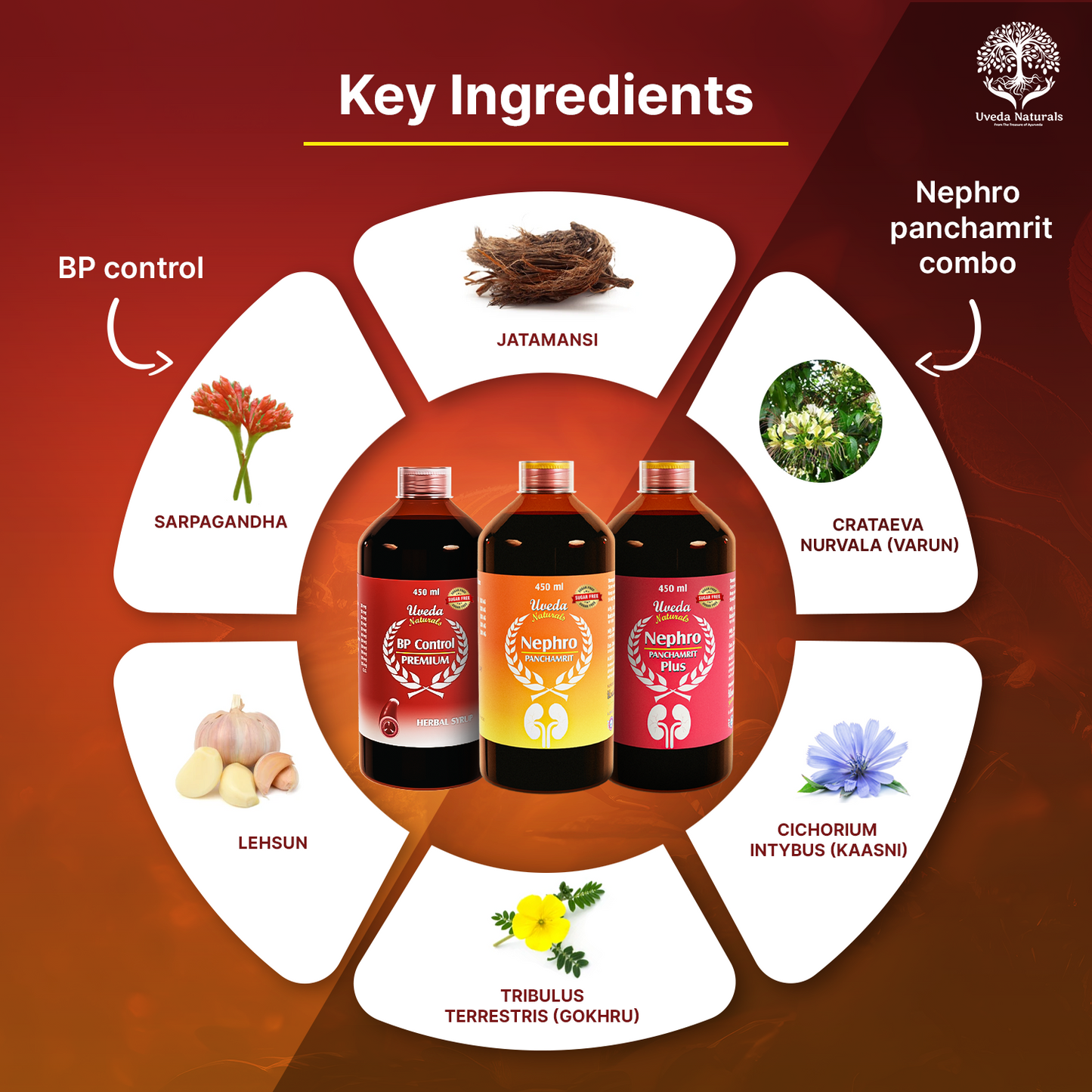 BP Control Premium, Nephro Panchamrit, and Nephro Panchamrit Plus Sugar Free Combo