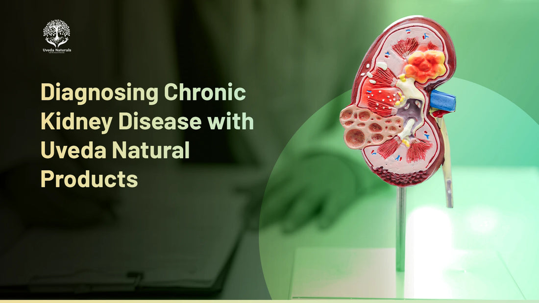Diagnosing Chronic Kidney Disease with Uveda Natural Products