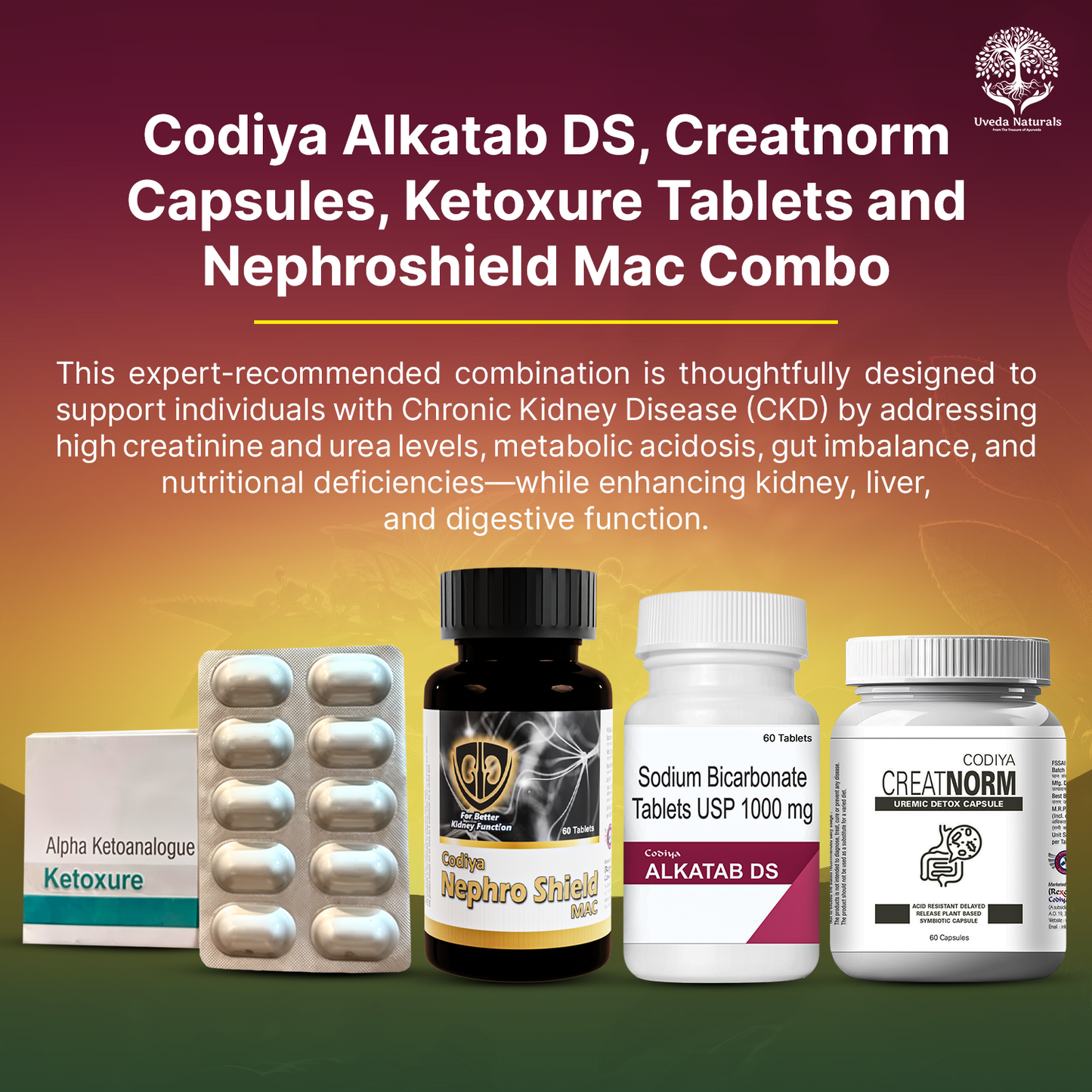Codiya Alkatab DS, Creatnorm Capsules , Ketoxure Tablets and Nephroshield Mac Combo