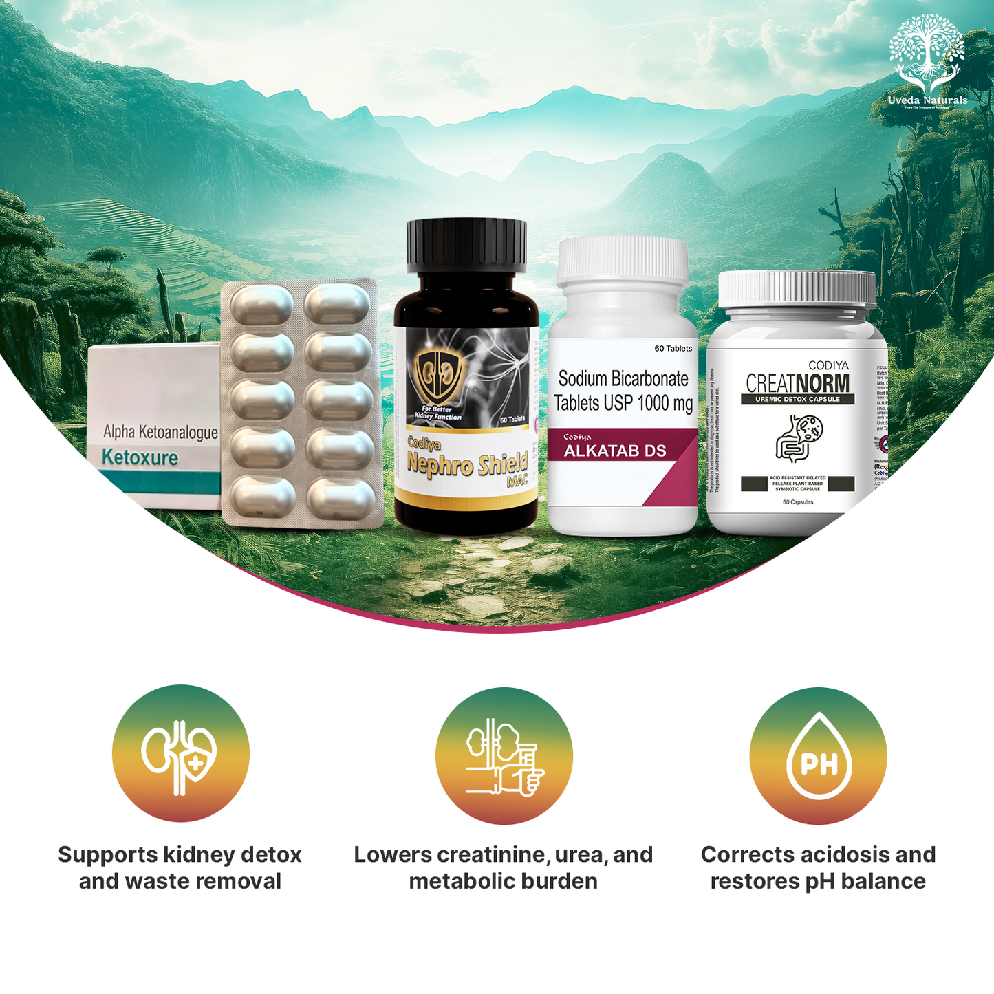 Codiya Alkatab DS, Creatnorm Capsules , Ketoxure Tablets and Nephroshield Mac Combo