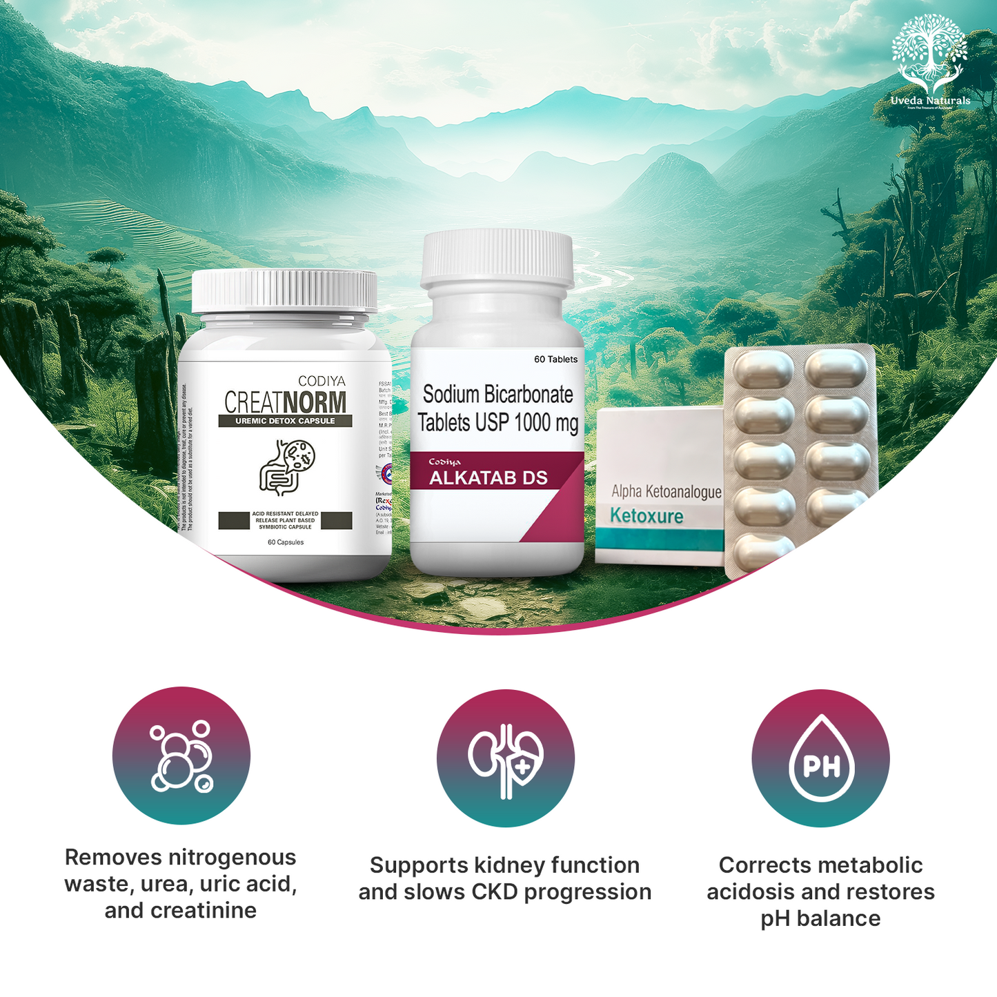 Codiya Alkatab DS, Ketoxure Tablets and Creatnorm  Combo
