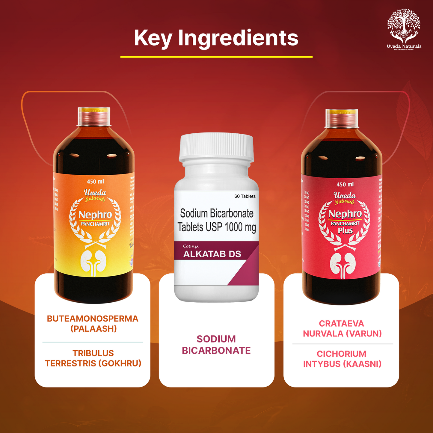 Codiya Alkatab DS and Nephro Panchamrit and Nephro Panchamrit Plus Combo