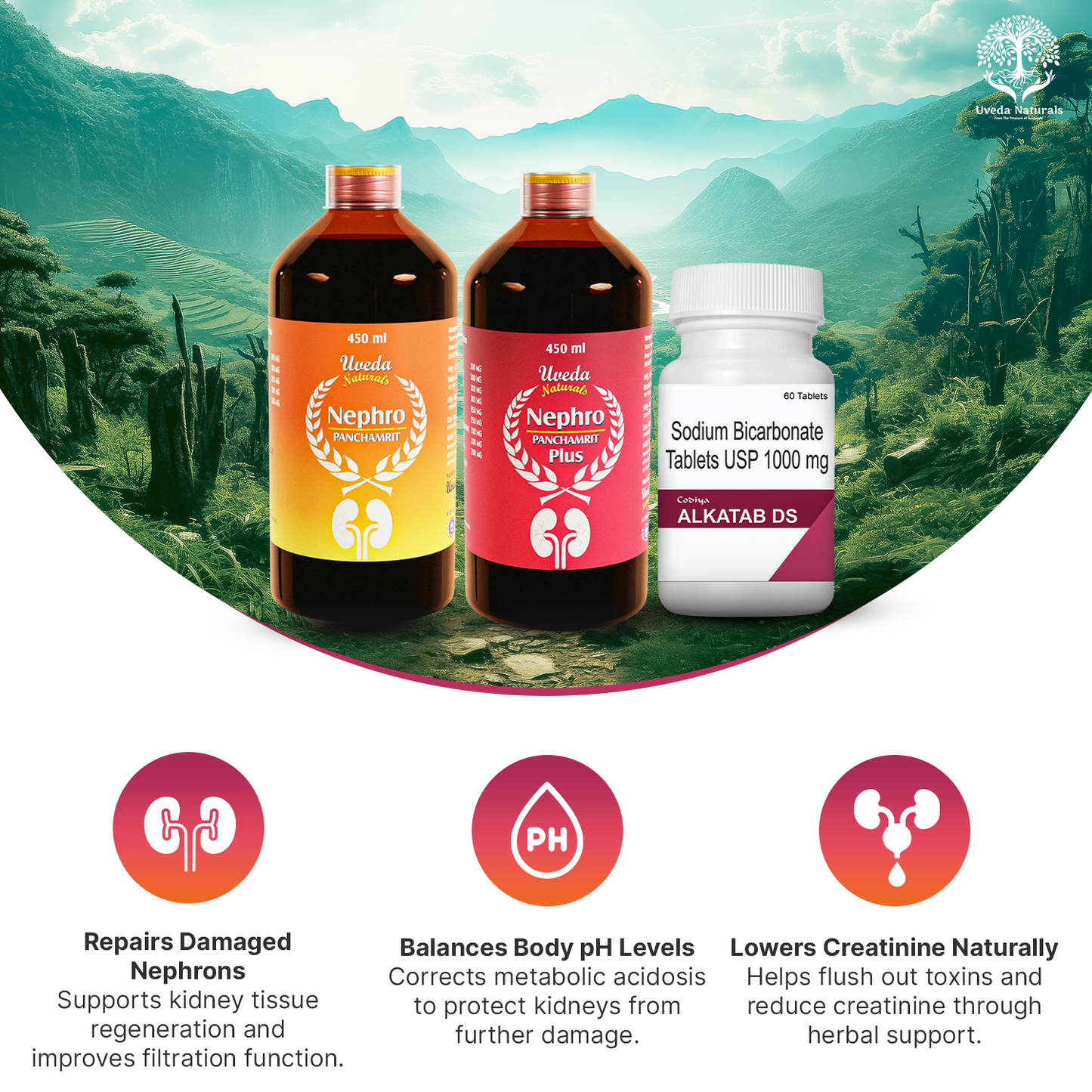 Codiya Alkatab DS and Nephro Panchamrit and Nephro Panchamrit Plus Combo