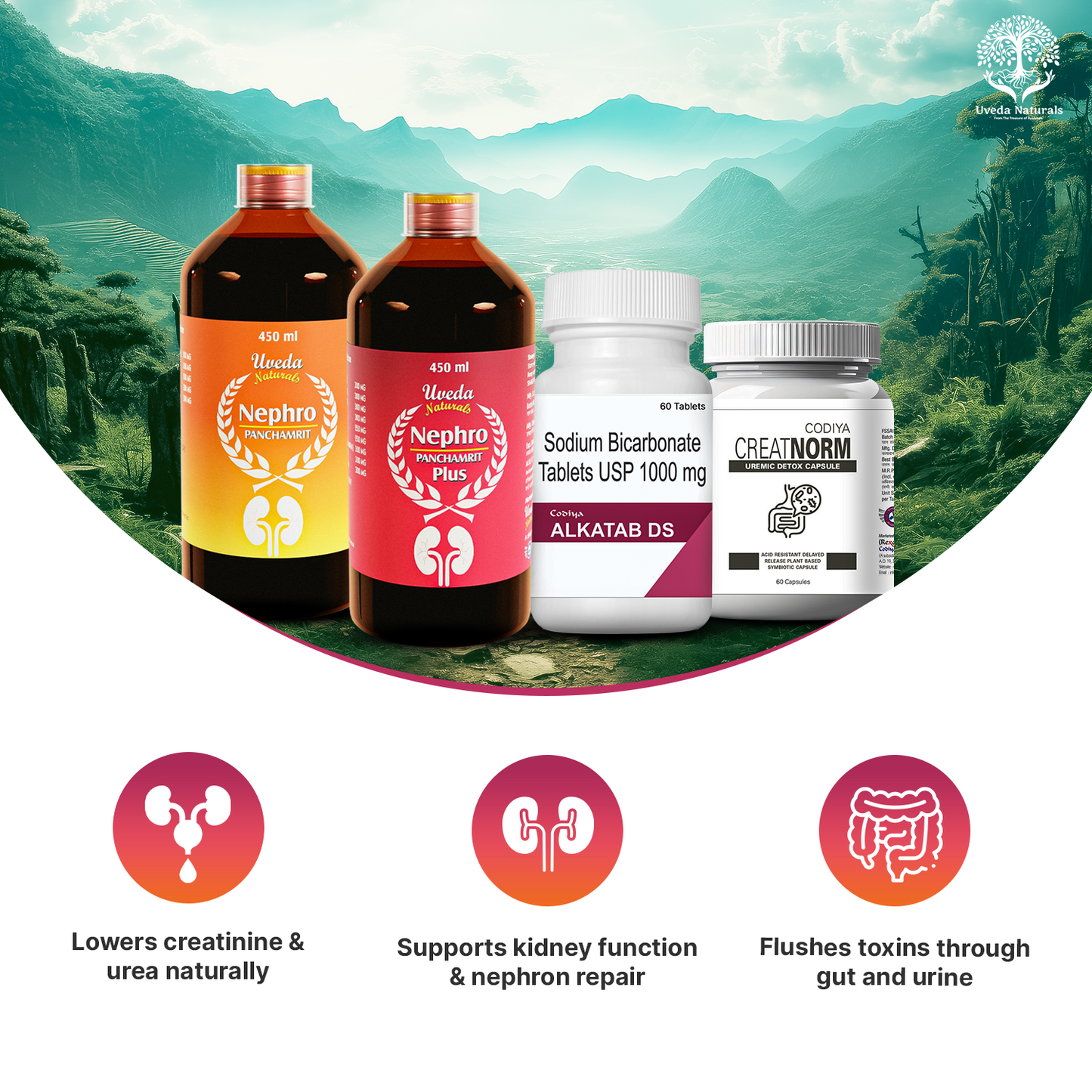 Codiya Alkatab DS, Creatnorm Nephro Panchamrit and Nephro Panchamrit Plus Combo