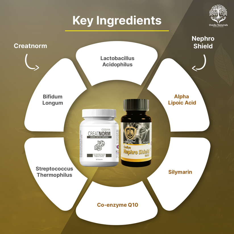 Uveda Naturals 5-in-1 & Creatnorm Sugar Free Combo