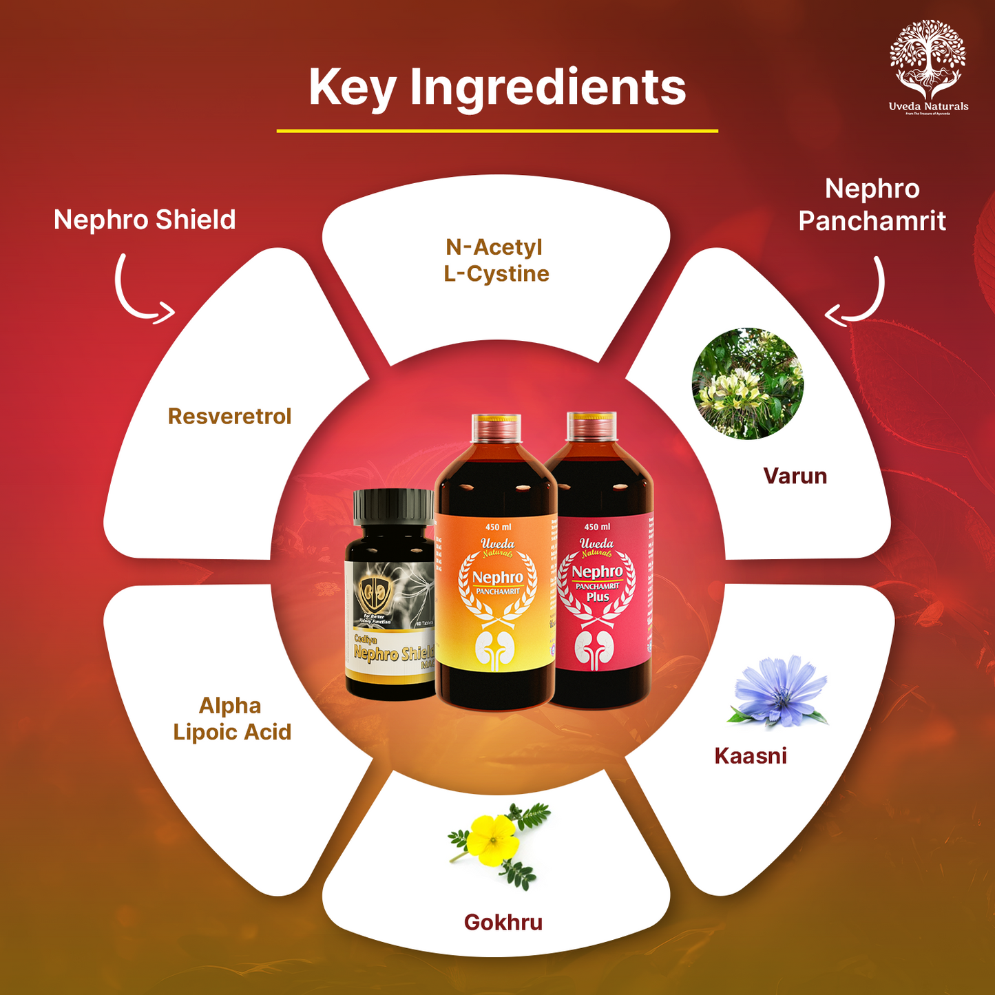 Nephroshield & Nephro Panchamrit and Nephro Panchamrit Plus Combo