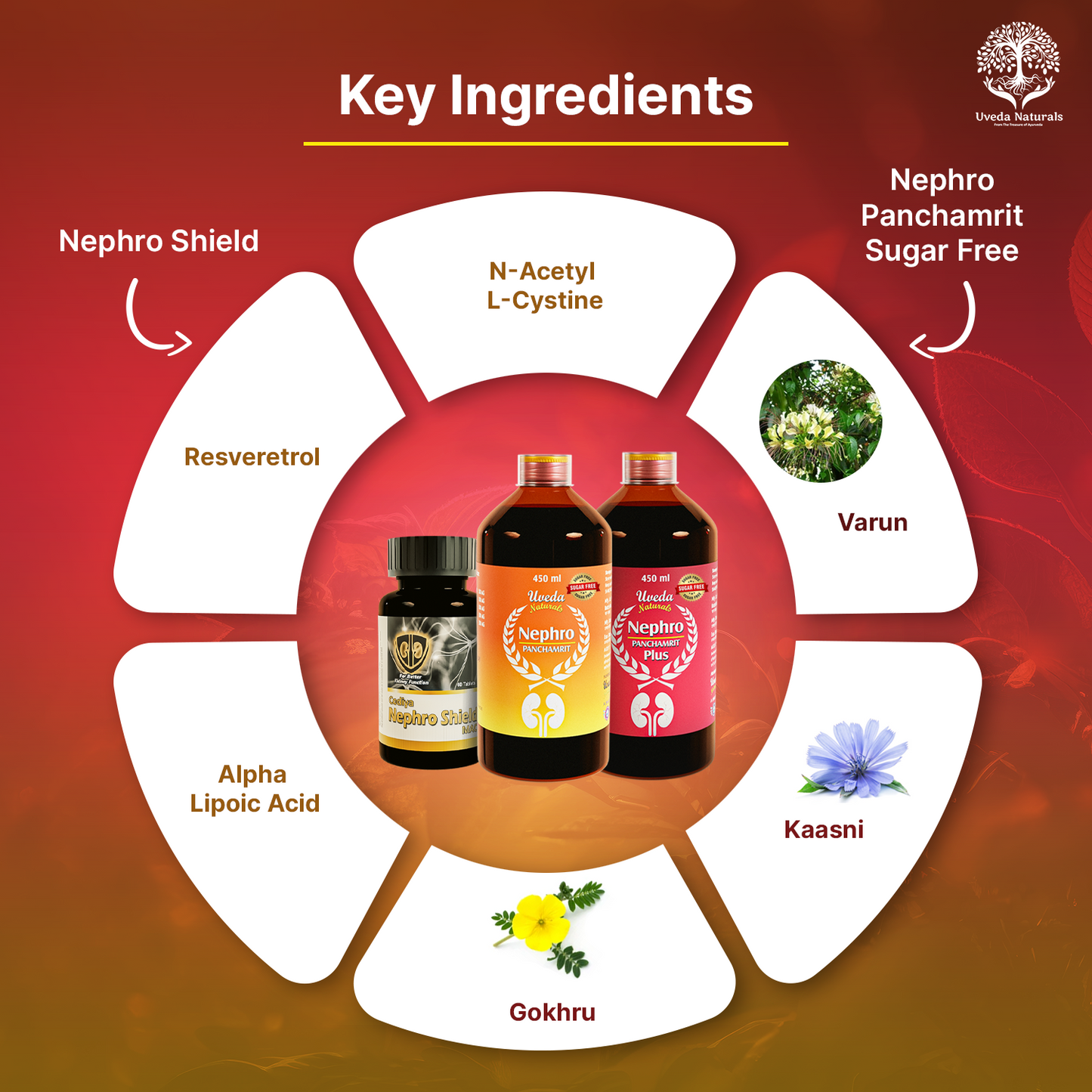 Nephroshield & Nephro Panchamrit and Nephro Panchamrit Plus Sugar Free Combo