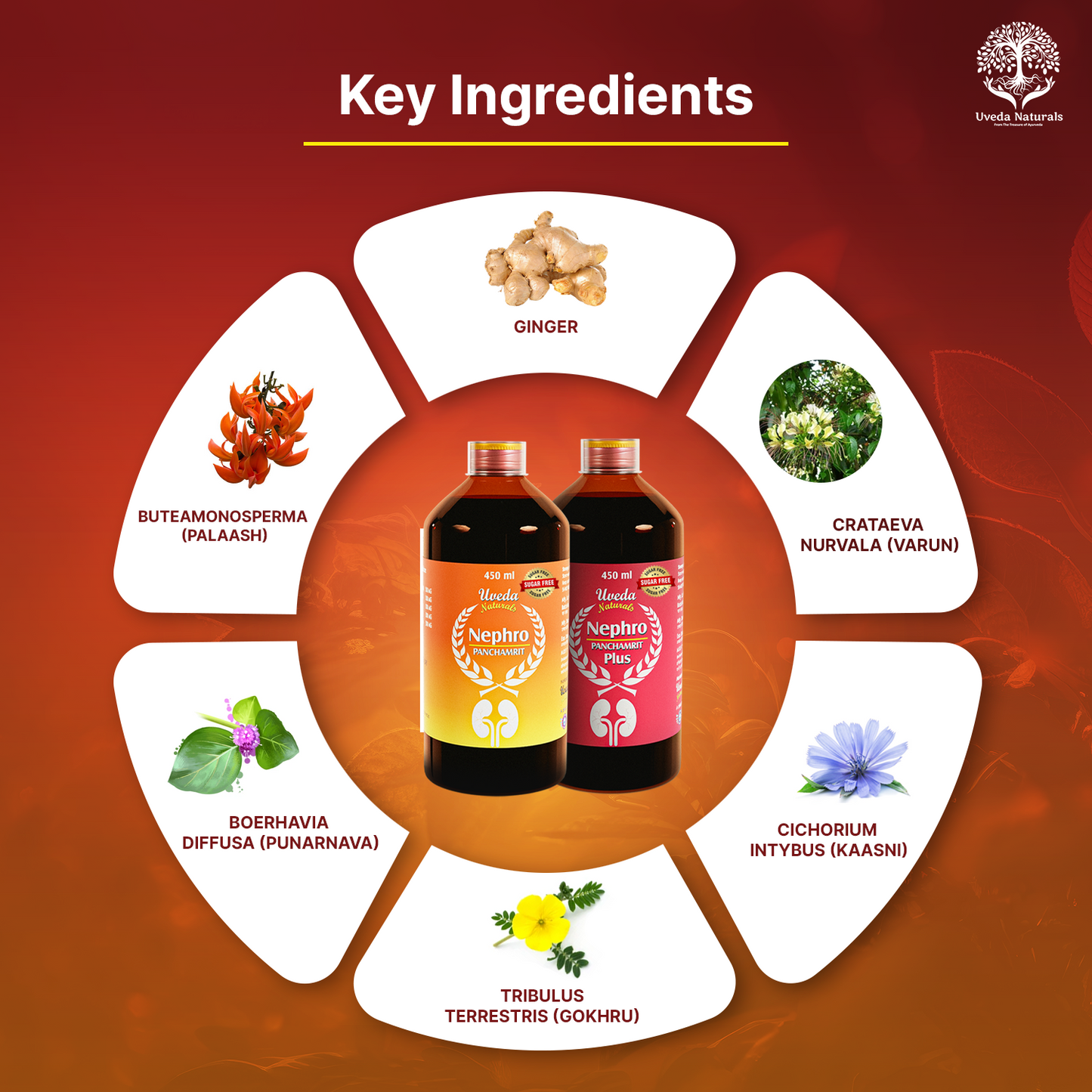 Uveda Nephro Panchamrit and Nephro Panchamrit Plus Sugar Free Combo