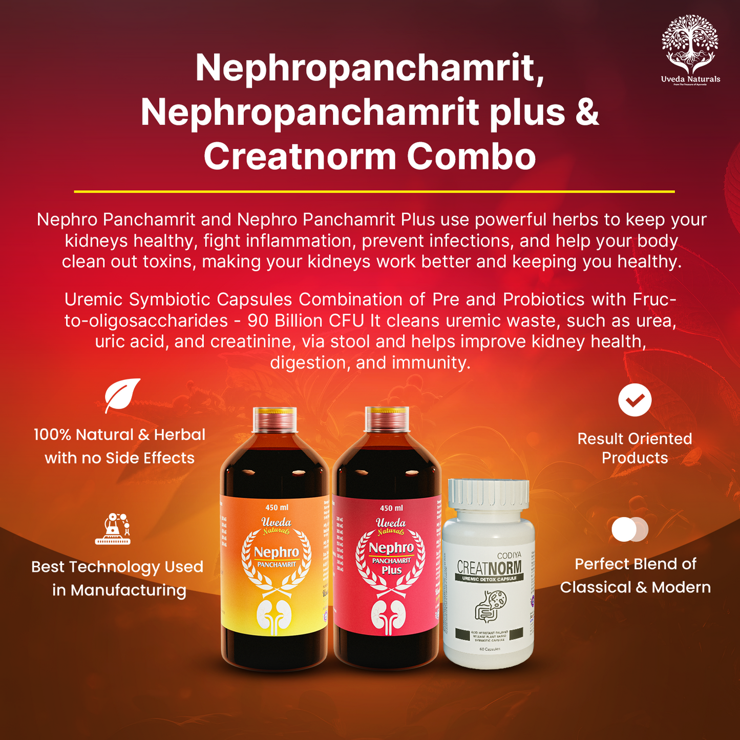 Nephropanchamrit Nephropanchamrit plus  &  Creatnorm Combo