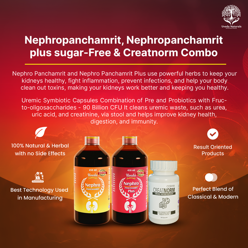 Nephropanchamrit Nephropanchamrit plus sugar-Free & Creatnorm Combo ...