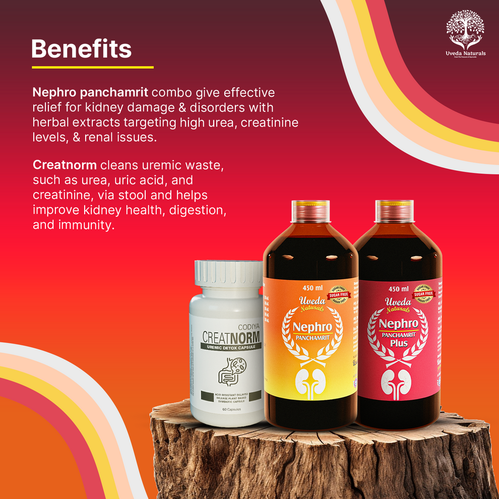 Nephropanchamrit Nephropanchamrit plus sugar-Free & Creatnorm Combo ...