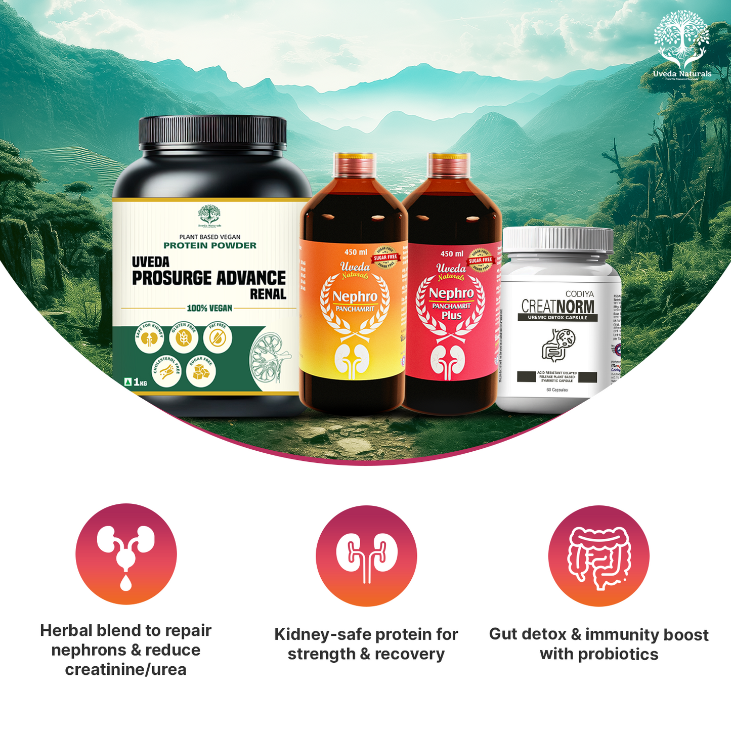 Uveda ProSurge Advance Renal Protein Powder with CreatNorm, Nephro Panchamrit & Nephro Panchamrit Plus Sugar Free