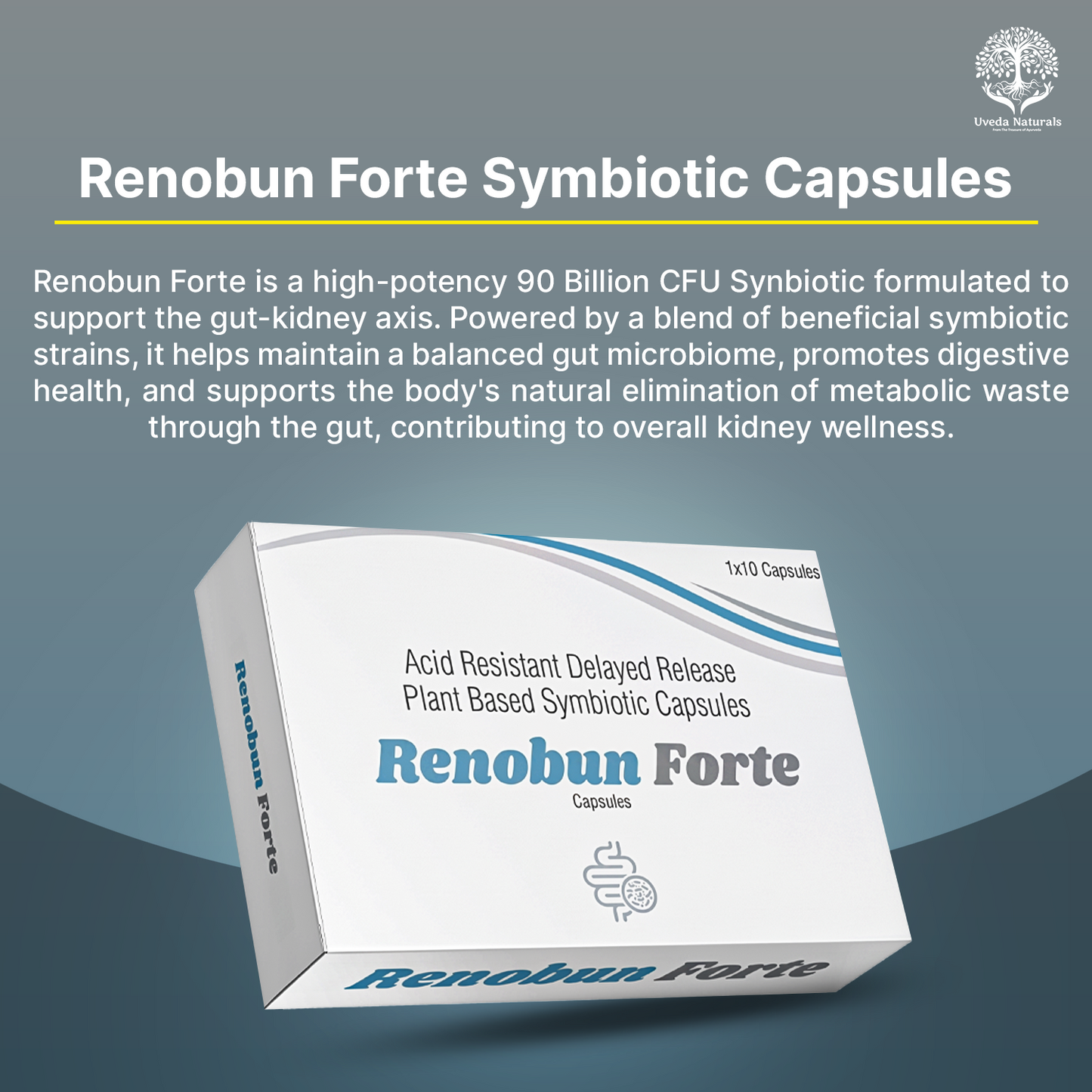 Renobun Forte Symbiotic Capsules