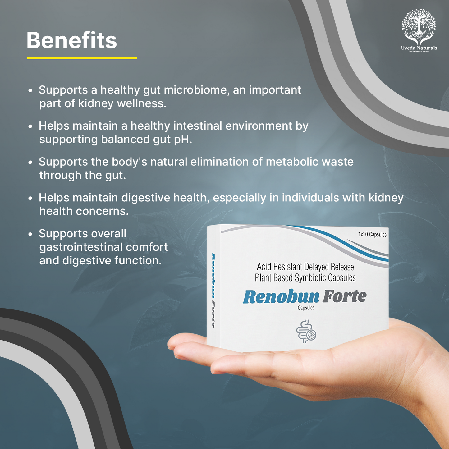 Renobun Forte Symbiotic Capsules