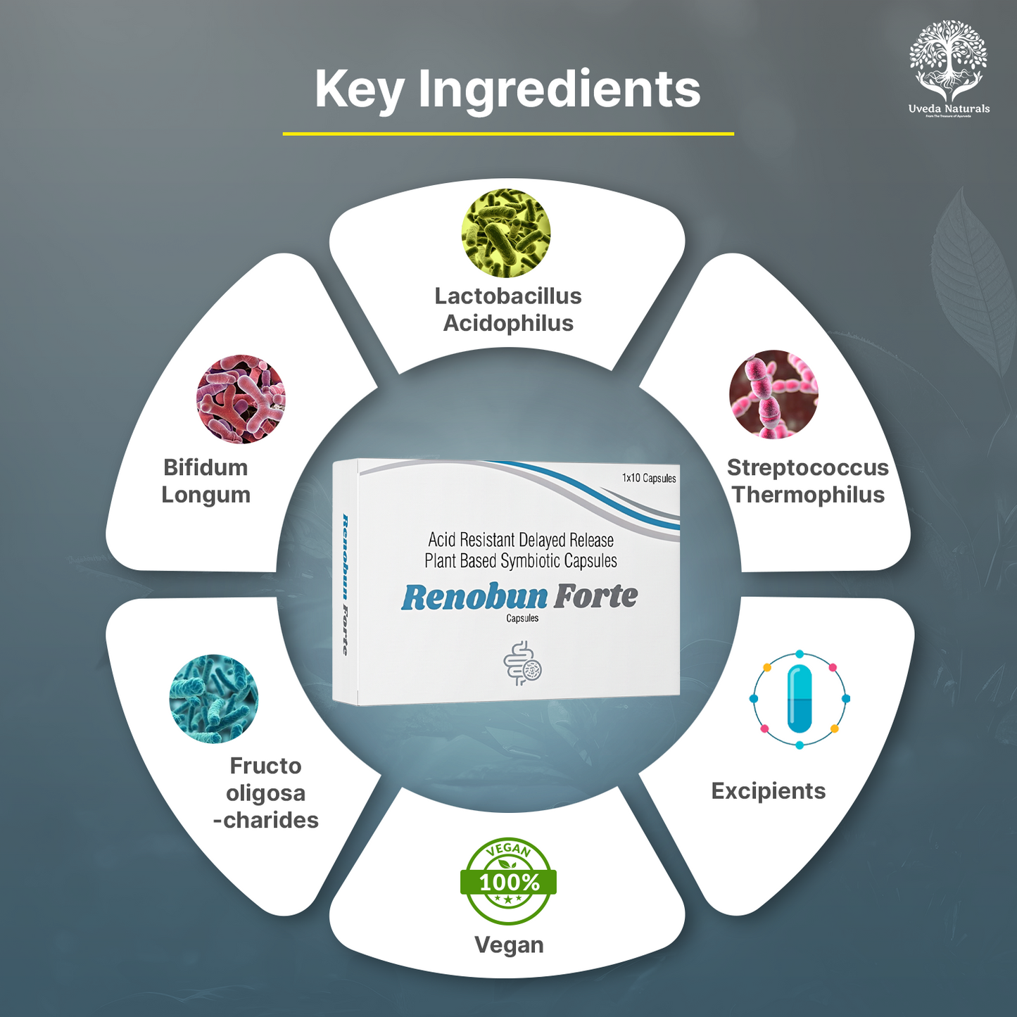 Renobun Forte Symbiotic Capsules